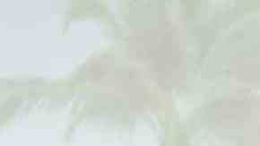 HOLLYWOOD, CALIFORNIA - JUNE 05: Adria Arjona, attends the 2022 Los Angeles Latino International Film Festival closing night premiere screening of "Father Of The Bride" at TCL Chinese Theatre on June 05, 2022 in Hollywood, California. (Photo by Frazer Harrison/Getty Images)