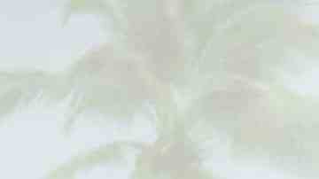 HOLLYWOOD, CALIFORNIA - JUNE 05: Adria Arjona, attends the 2022 Los Angeles Latino International Film Festival closing night premiere screening of "Father Of The Bride" at TCL Chinese Theatre on June 05, 2022 in Hollywood, California. (Photo by Frazer Harrison/Getty Images)