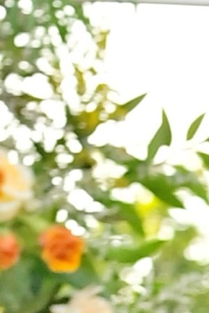 LOS ANGELES, CALIFORNIA - MARCH 29: Adrienne Bailon attends a celebration of Cuyana's new Stretch Collection at Little City Farm on March 29, 2022 in Los Angeles, California. (Photo by Stefanie Keenan/Getty Images for CUYANA)