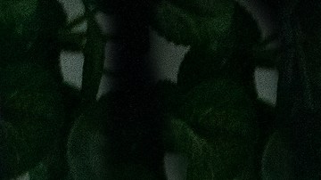 DO REVENGE - (L-R) Maya Hawke as Eleanor and Camila Mendes as Drea in Do Revenge. Cr. Kim Simms/Netflix © 2022.