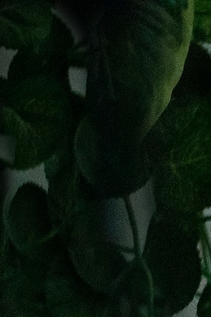 DO REVENGE - (L-R) Maya Hawke as Eleanor and Camila Mendes as Drea in Do Revenge. Cr. Kim Simms/Netflix © 2022.