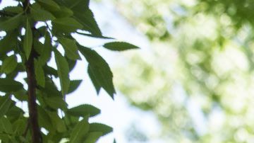 WASHINGTON, DC - JUNE 15: Immigration advocates rally to urge Congress to pass permanent protections for DACA recipients and create a pathway to citizenship, near the U.S. Capitol June 15, 2022 in Washington, DC. In 2012, President Barack Obama and his administration introduced the Deferred Action for Childhood Arrivals (DACA) program, protecting eligible immigrants who came to the United States as children from deportation. In 2020, the U.S. Supreme Court upheld the DACA initiative in a 5-4 ruling. (Photo by Drew Angerer/Getty Images)