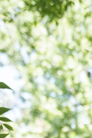 WASHINGTON, DC - JUNE 15: Immigration advocates rally to urge Congress to pass permanent protections for DACA recipients and create a pathway to citizenship, near the U.S. Capitol June 15, 2022 in Washington, DC. In 2012, President Barack Obama and his administration introduced the Deferred Action for Childhood Arrivals (DACA) program, protecting eligible immigrants who came to the United States as children from deportation. In 2020, the U.S. Supreme Court upheld the DACA initiative in a 5-4 ruling. (Photo by Drew Angerer/Getty Images)