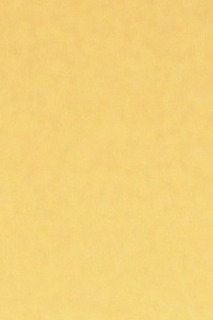 HOLLYWOOD, CALIFORNIA - JUNE 25: Danny Trejoattends the Illumination and Universal Pictures' "Minions: The Rise Of Gru" Los Angeles premiere on June 25, 2022 in Hollywood, California. (Photo by Araya Doheny/FilmMagic)