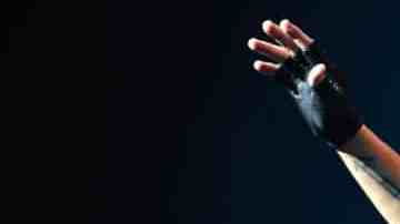 Elvis Crespo Neverita