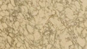 Ozuna Tokischa "Somos Iguales"