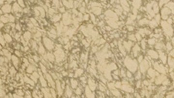 Ozuna Tokischa "Somos Iguales"