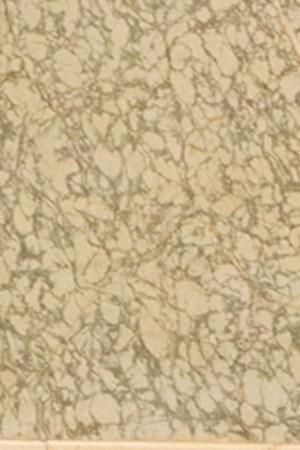 Ozuna Tokischa "Somos Iguales"