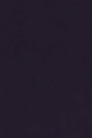 HOLLYWOOD, CALIFORNIA - JANUARY 14: Kate del Castillo attends Premiere Of Columbia Pictures' "Bad Boys For Life" at TCL Chinese Theatre on January 14, 2020 in Hollywood, California. (Photo by Leon Bennett/WireImage)