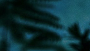 Maluma for Contraluz cristalino mezcal