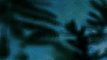 Maluma for Contraluz cristalino mezcal