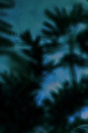 Maluma for Contraluz cristalino mezcal