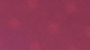 PASADENA, CALIFORNIA - AUGUST 16: Sofía Vergara arrives at the Red Carpet For "America's Got Talent" Season 17 Live Show at Sheraton Pasadena Hotel on August 16, 2022 in Pasadena, California. (Photo by Steve Granitz/WireImage)