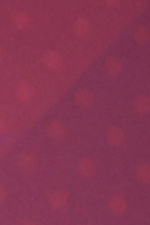 PASADENA, CALIFORNIA - AUGUST 16: Sofía Vergara arrives at the Red Carpet For "America's Got Talent" Season 17 Live Show at Sheraton Pasadena Hotel on August 16, 2022 in Pasadena, California. (Photo by Steve Granitz/WireImage)