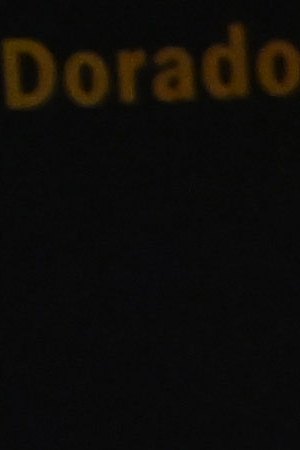 Jazmin Aguilar, Jesus Celaya, and Lorena Russi pose at the McDonald's Spotlight Dorado Program