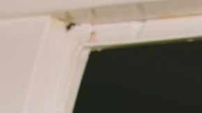 alaska grupo firme camilo