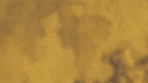 karol g_GATÚBELA_ex