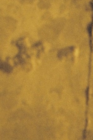 karol g_GATÚBELA_ex