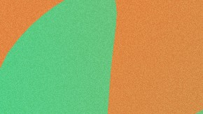 Modelo beer variety pack fruit flavors