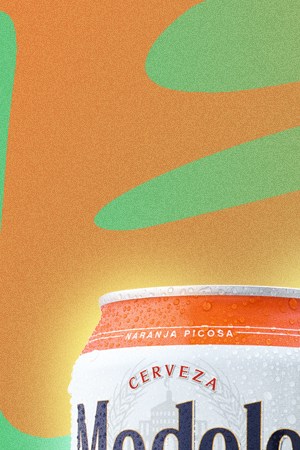 Modelo beer variety pack fruit flavors