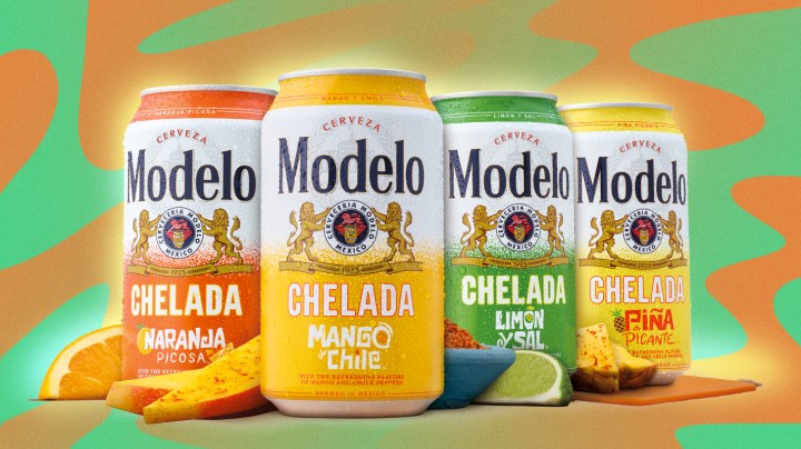 Modelo beer variety pack fruit flavors