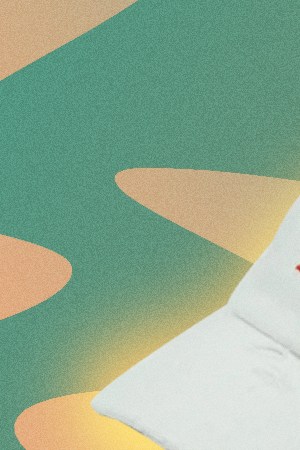 Latine summer small businesses