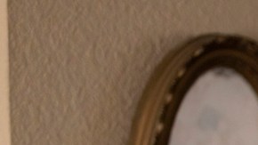 Gordita Chronicles Photo