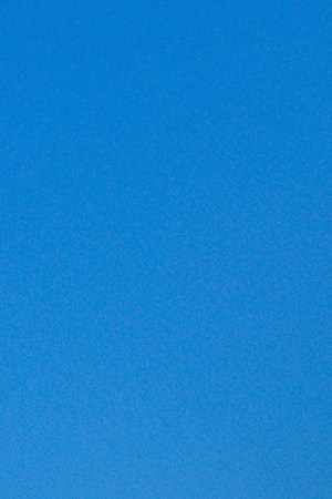 Kiko el Crazy_will.i.am