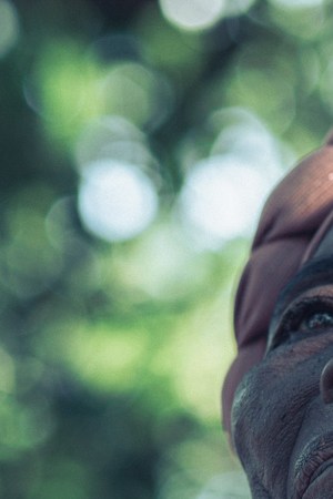 Photography by Carolina Assik.