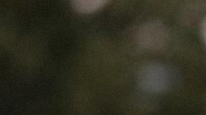 Charlotte Dos Santos