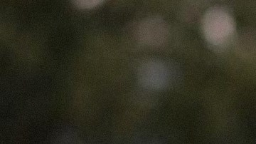 Charlotte Dos Santos