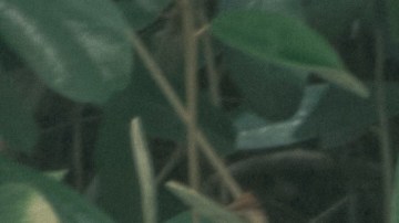 Photography by Camilo Mejia.