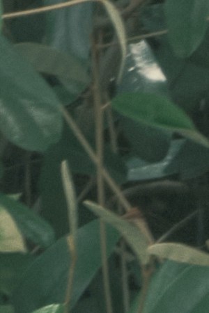 Photography by Camilo Mejia.