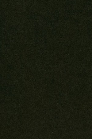 Photography by Camilo Mejia.