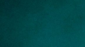 Bad Bunny_El Apagón_Organizations