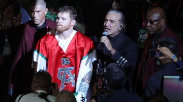 Canelo Alvarez Alejandro Fernandez Match