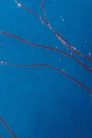 Kali Uchis No Hay Ley