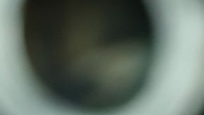 NEW YORK, NEW YORK - AUGUST 23: Ismael Cruz Córdova attends "The Lord Of The Rings: The Rings Of Power" New York Special Screening at Alice Tully Hall on August 23, 2022 in New York City. (Photo by Dimitrios Kambouris/Getty Images for Prime Video)