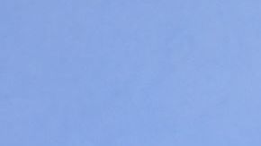 NEW YORK, NEW YORK - NOVEMBER 18: Melissa Villaseñor attends the American Museum of Natural History Gala 2021 on November 18, 2021 in New York City. (Photo by Theo Wargo/Getty Images for American Museum of Natural History)