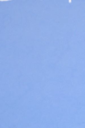 NEW YORK, NEW YORK - NOVEMBER 18: Melissa Villaseñor attends the American Museum of Natural History Gala 2021 on November 18, 2021 in New York City. (Photo by Theo Wargo/Getty Images for American Museum of Natural History)