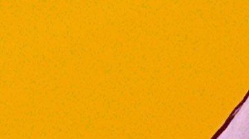 Narco Shark Kickstarter