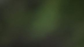 VENICE, ITALY - SEPTEMBER 03: Pedro Pascal arrives at the Hotel Excelsior during the 79th Venice International Film Festival on September 03, 2022 in Venice, Italy. (Photo by Andreas Rentz/Getty Images)