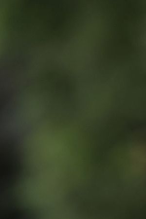 VENICE, ITALY - SEPTEMBER 03: Pedro Pascal arrives at the Hotel Excelsior during the 79th Venice International Film Festival on September 03, 2022 in Venice, Italy. (Photo by Andreas Rentz/Getty Images)