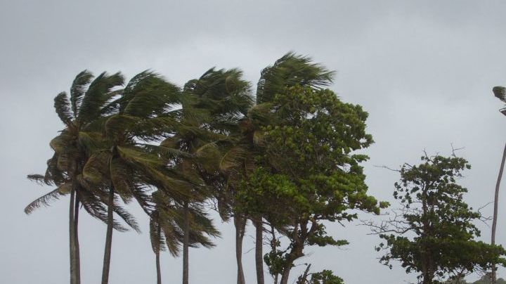 Palm trees blow in the wind in Nagua, Dominican Republic, on September 19, 2022, during the passage of Hurricane Fiona. - Hurricane Fiona made landfall along the coast of the Dominican Republic on Monday, the National Hurricane Center said, after the storm tore through Puerto Rico. (Photo by Erika SANTELICES / AFP) (Photo by ERIKA SANTELICES/afp/AFP via Getty Images)