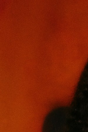 charlotte dos santos