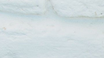 Bomba Estero Manu Chao Me Duele