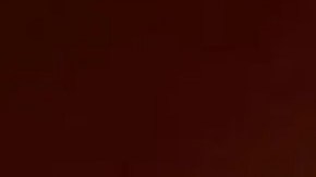 Adidas Día de Muertos Hyperturf sneakers