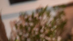 NEW YORK, NEW YORK - SEPTEMBER 09: Singer and TV host Adrienne Bailon attends the inaugural REVOLVE GALLERY at Hudson Yards on September 09, 2021 in New York City. (Photo by Gary Gershoff/Getty Images)