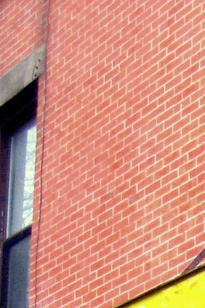 Bodega at at 6th Ave & 10th st, Park Slope.