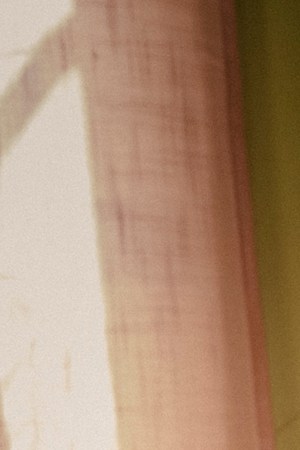 Photography by Samanta Helou.